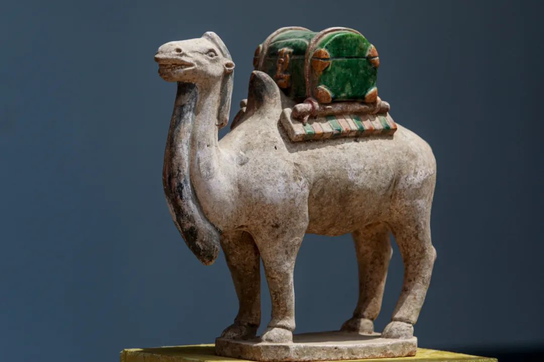 1752290323143050199.jpg 4.jpg